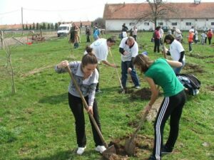 Legea „Brașovului verde” a devenit oficială: cine construiește o locuință este obligat să planteze un pom