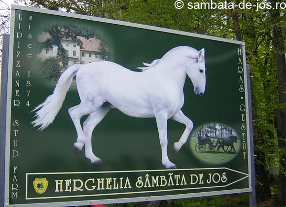 „Tradiţia creşterii cailor de rasă lipiţană din România”, inclusă în Lista Reprezentativă a Patrimoniului Cultural Imaterial al Umanităţii a UNESCO. Cea mai importantă herghelie de cai lipițani din țară este la Sâmbăta de Jos
