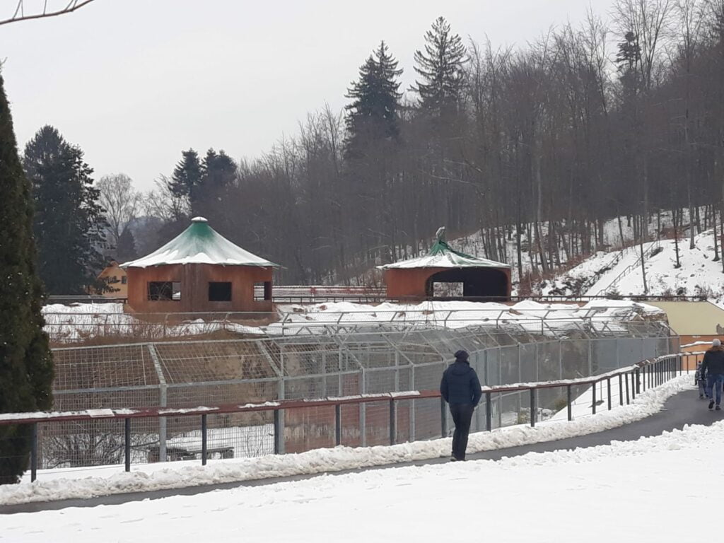 Zoo Brașov vrea să investească aproape 5 milioane de lei pentru a scăpa de „factura la apă”