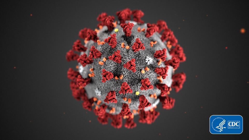Numărul cazurilor de coronavirus a ajuns la 68, după ce au mai fost confirmate patru infectări la Constanța