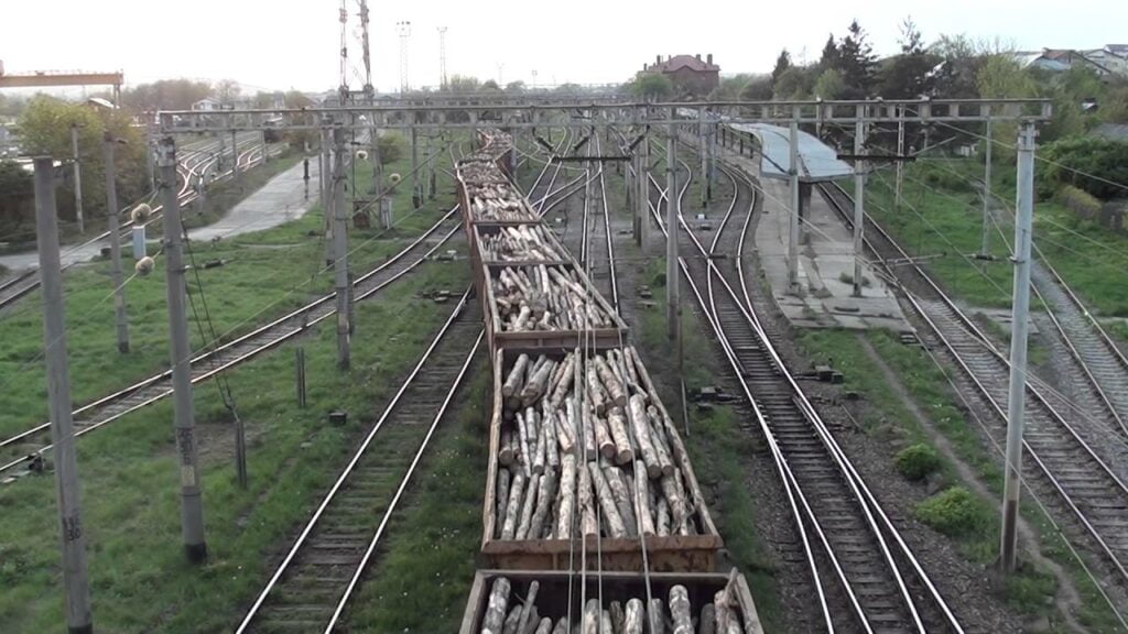 Un tren cu 38 de vagoane încărcate cu lemne, marfă de import, confiscat. Transportatorul a fost amendat cu 15.000 de lei