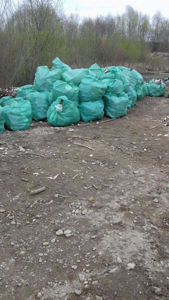 Acțiune de voluntariat derulată de către angajații Comprest SA pentru curățarea malurilor și albiei Râului Bârsa. S-au strâns peste 250 de saci cu deșeuri