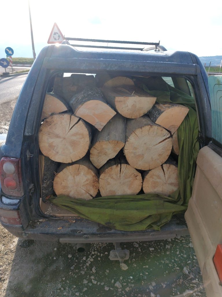 Un făgărășean a fost prins de polițiști, în timp ce transporta lemne ilegal. Marfa a fost confiscată